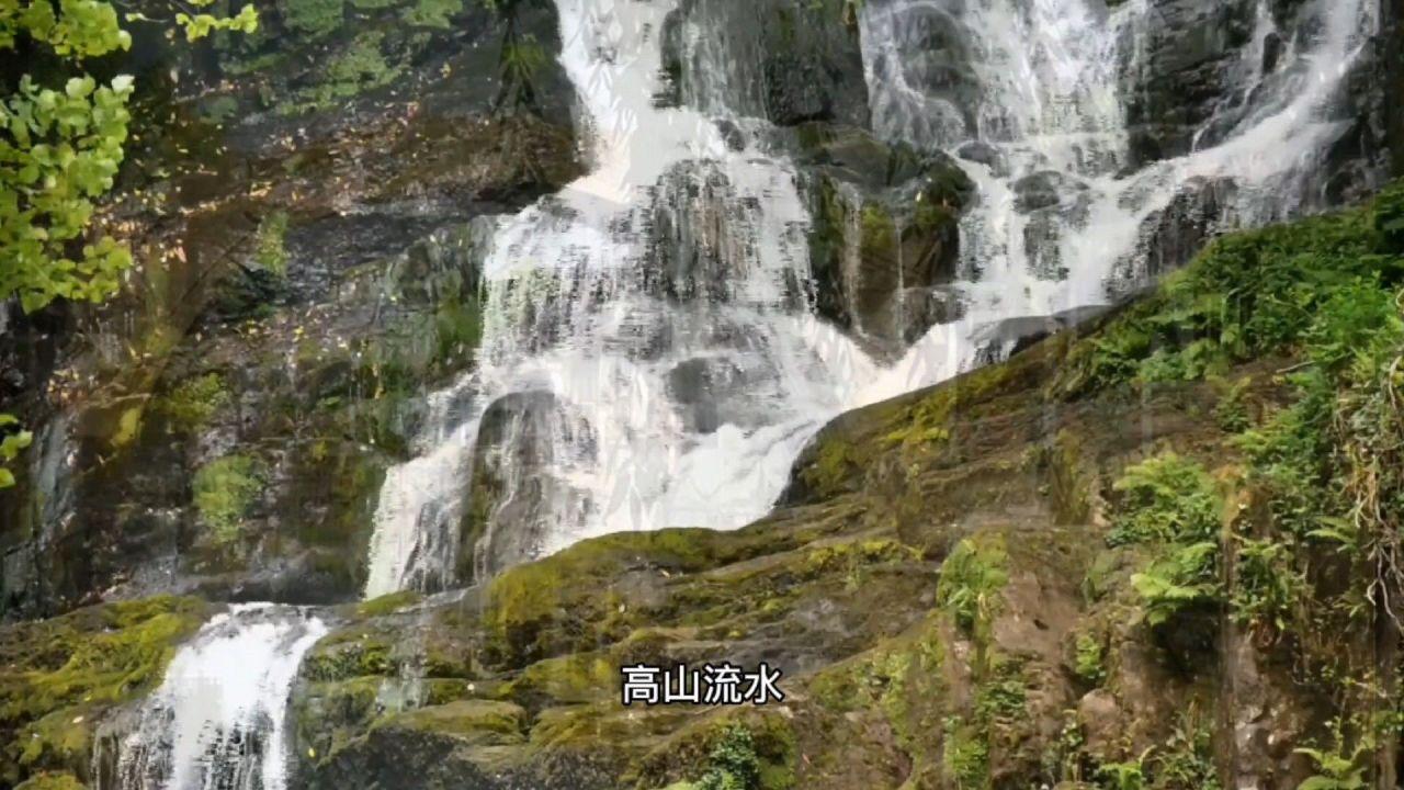 丧尸围城2