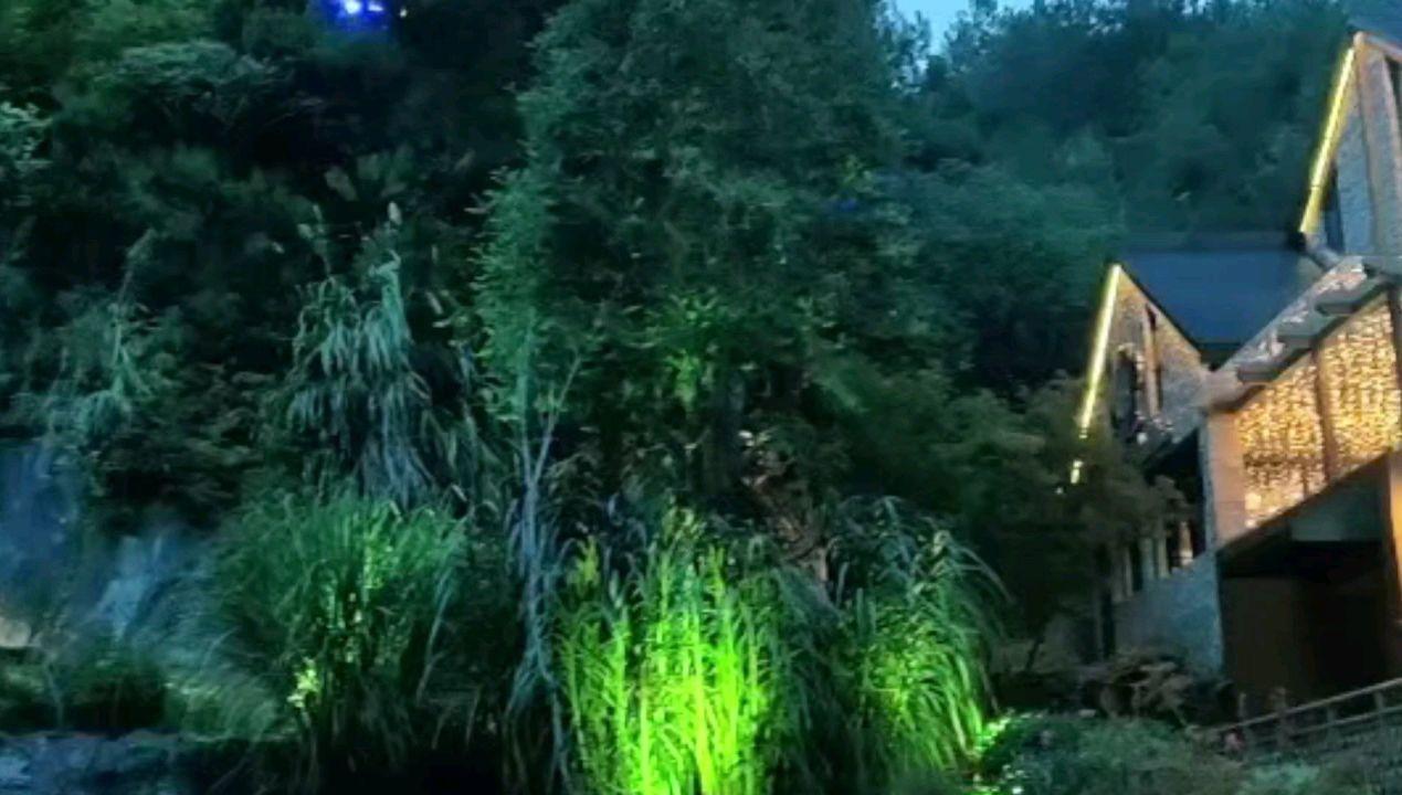 鬼泣5